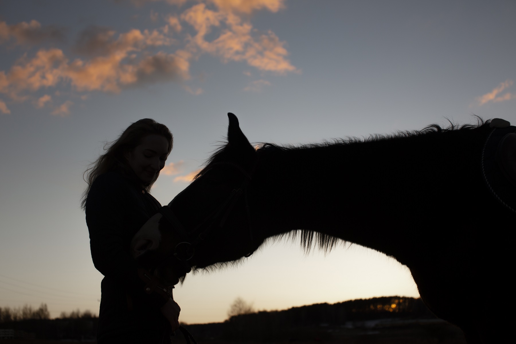 la relation homme cheval un bonheur partage