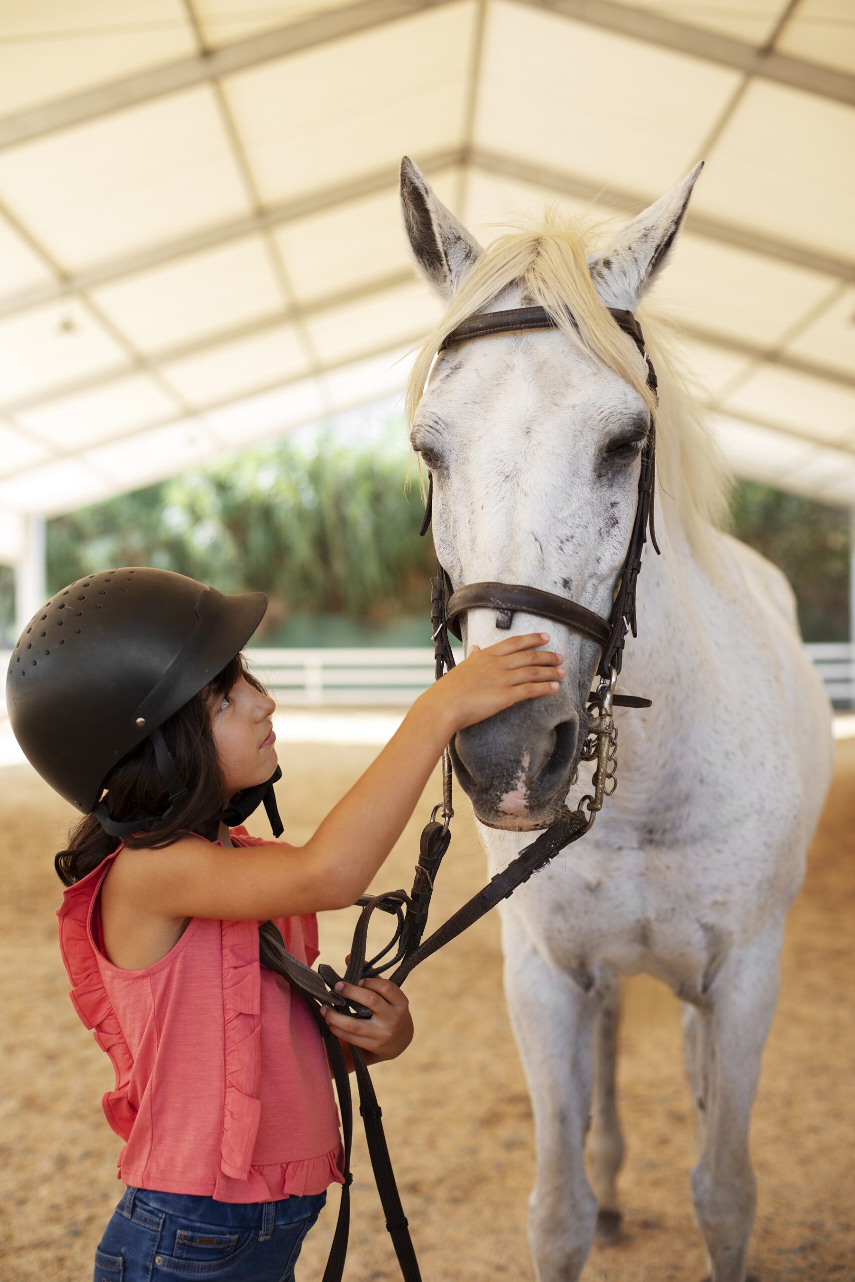 notre pratique equitation et notre rapport avec le cheval